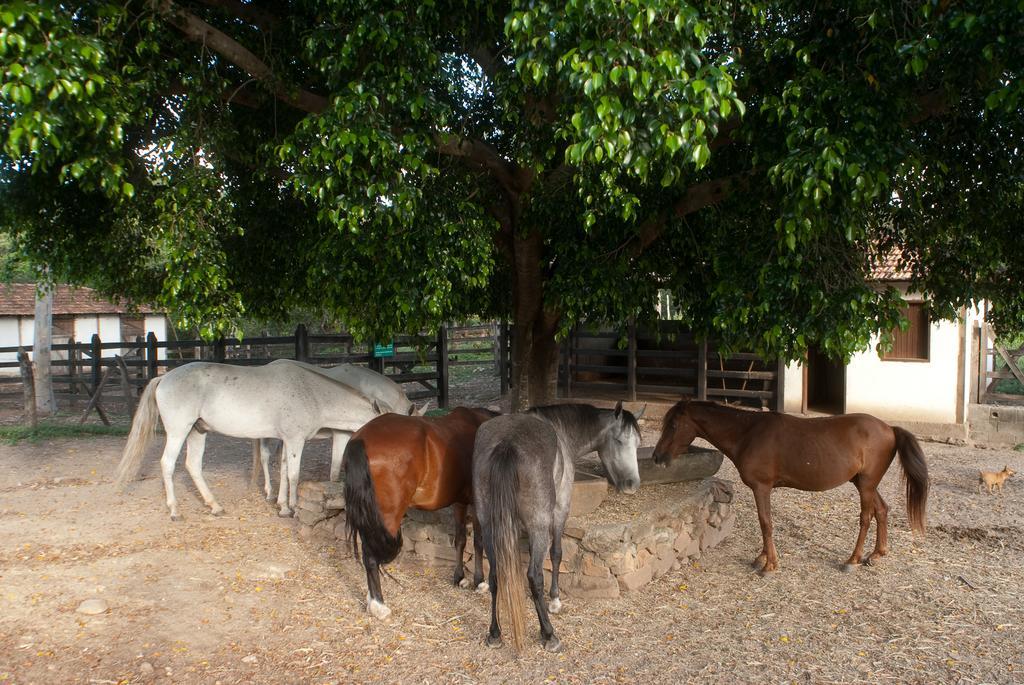 Fazenda Monjolos Pousada Belo Horizonte Esterno foto